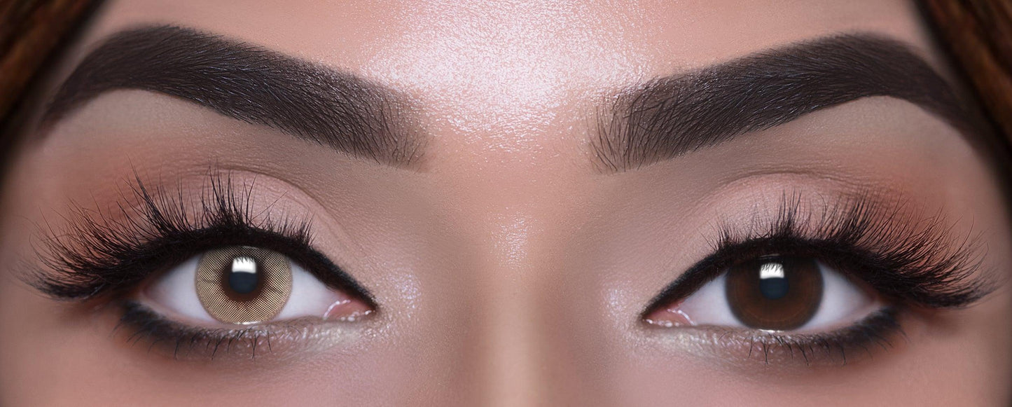 korean lenses
