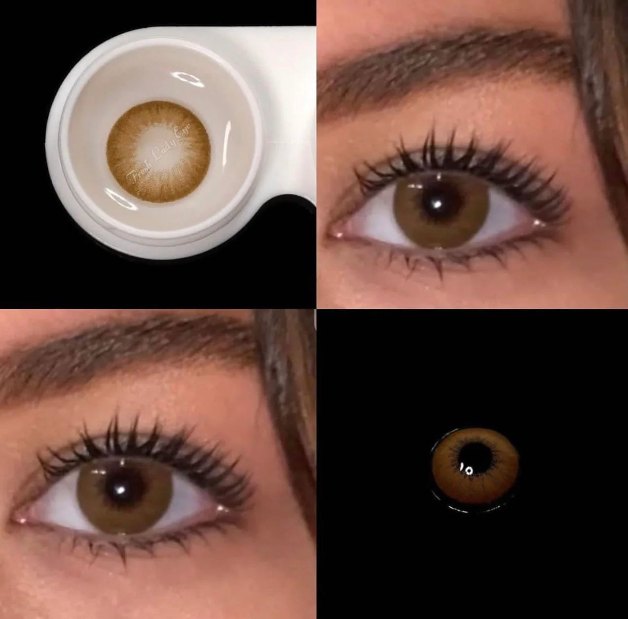 LATTE