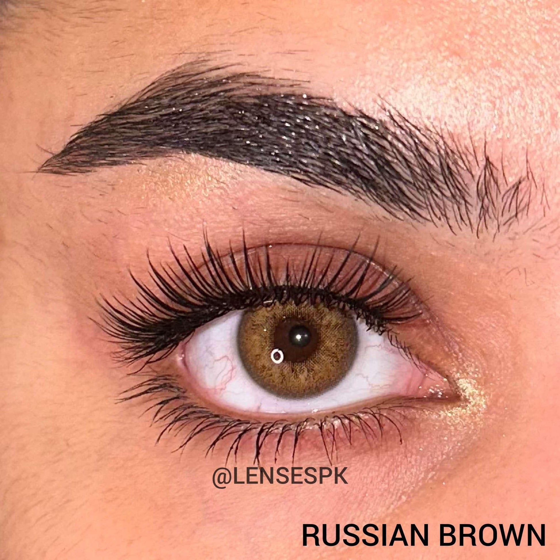 russian brown