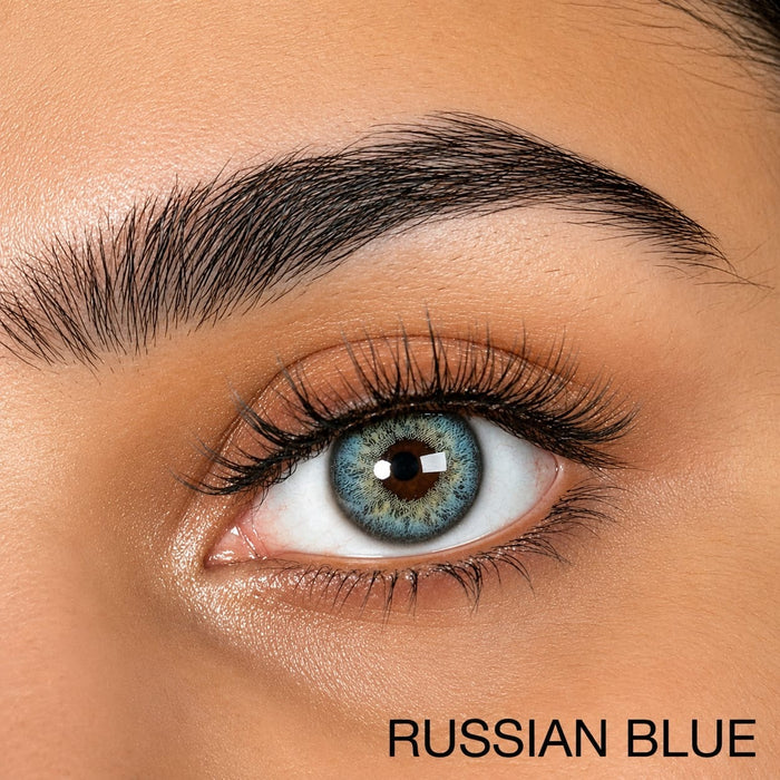Russian Blue