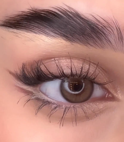 DREAM BROWN