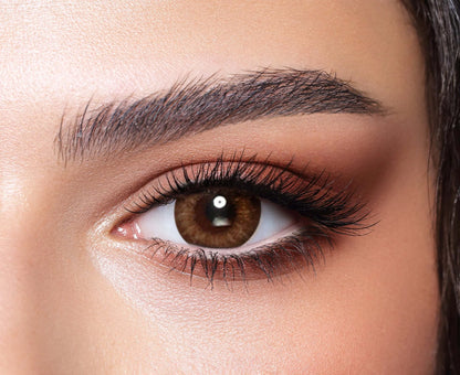 Bella One Day - Almond Brown - FIVE PAIRS