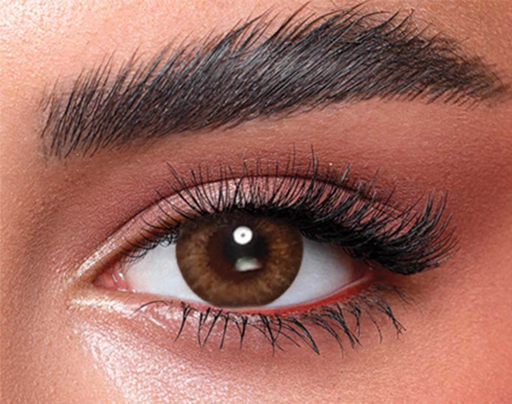 Bella One Day - Almond Brown - FIVE PAIRS