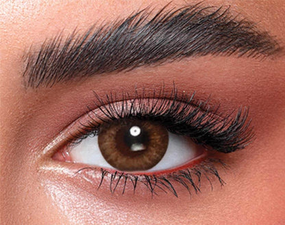 Bella One Day - Almond Brown - FIVE PAIRS