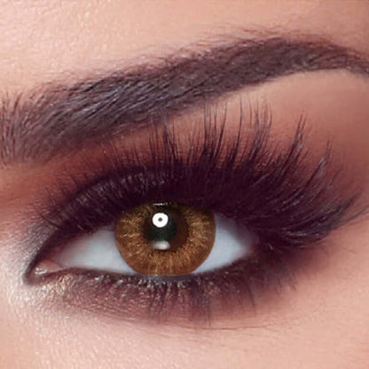 Bella One Day - Almond Brown - FIVE PAIRS