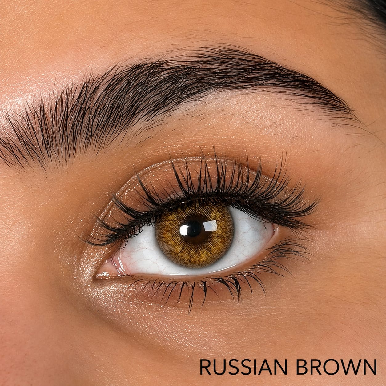 RUSSIAN BROWN