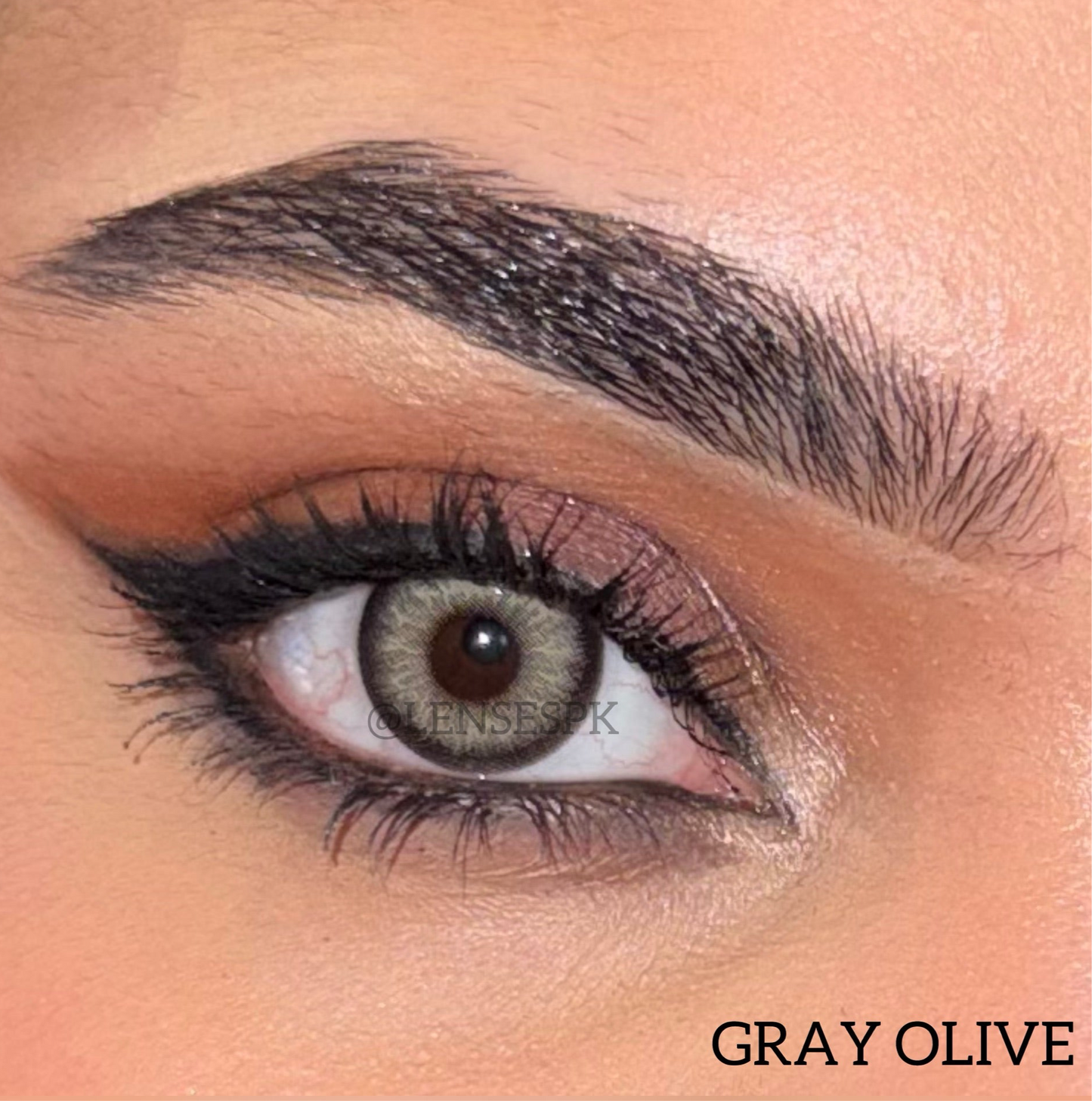 GRAY OLIVE