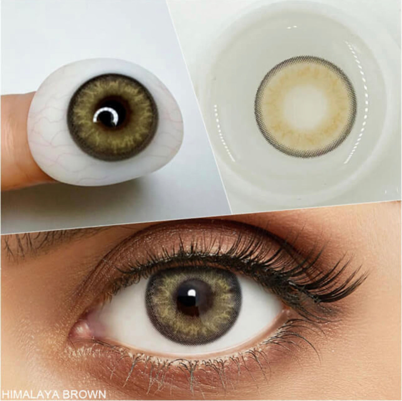 Brown contact lenses