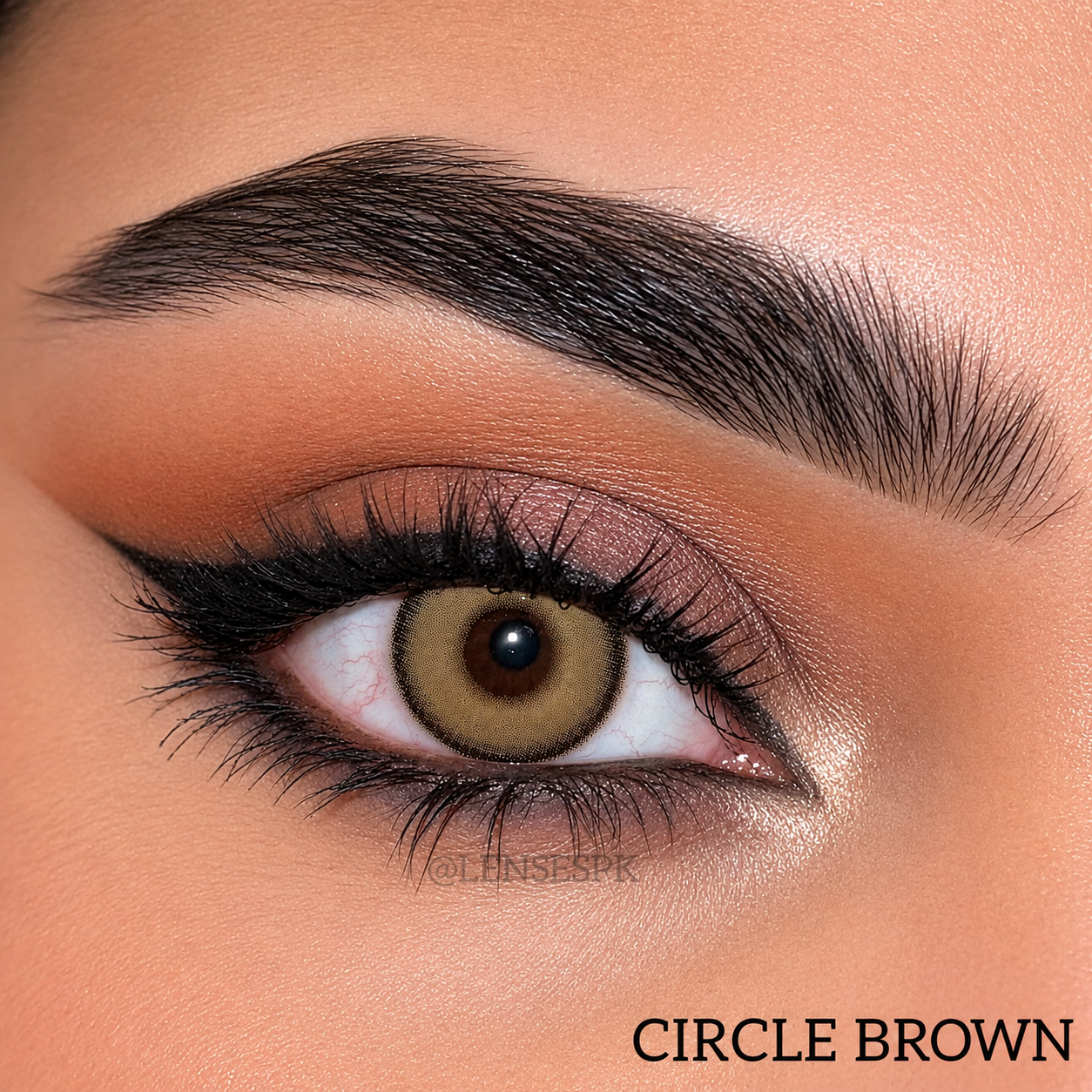 CIRCLE BROWN